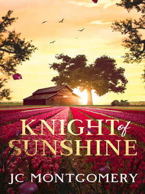 cover image of Knight of Sunshine